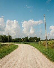 Dirt road with corn fields in a rural area of Illinois