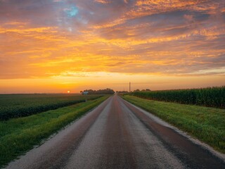 Sunrise over a farm road and corn fields, near Route 66 in Towanda, Illinois