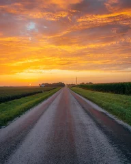 Fotobehang Sunrise over a farm road and corn fields, near Route 66 in Towanda, Illinois © jonbilous