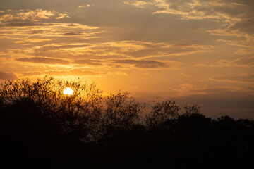 Fototapeta na wymiar Sun rising in contrasting light with the forest. orange sunrise