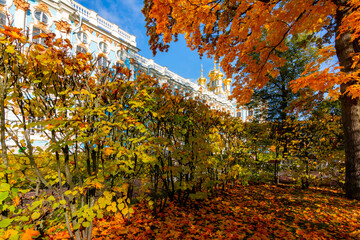 Catherine palace and park in autumn foliage, Tsarskoe Selo (Pushkin), Saint Petersburg, Russia