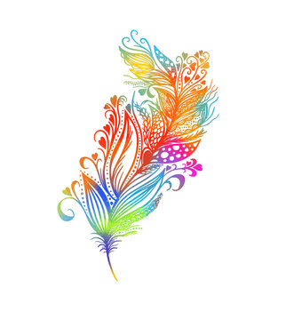 Multicolored beautiful bird feather.. Vector illustration