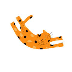 cute red cat relaxing 