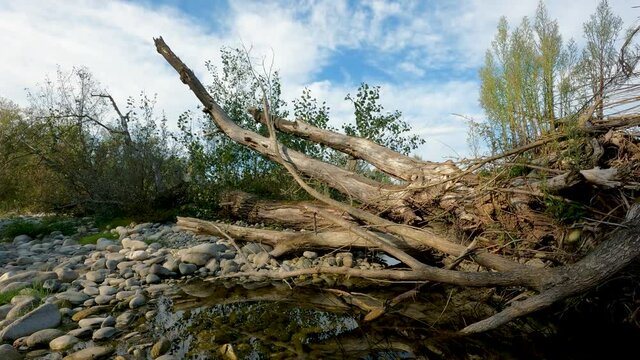  Summer Landscape on the River.