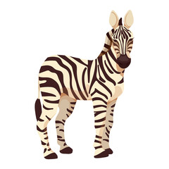 Fototapeta na wymiar Grevy's zebra, animal of the African savannah. Cartoon vector graphics.