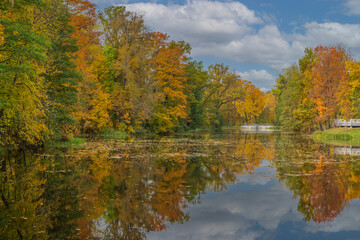 Colored pages in the fall. Golden autumn in City Park. Blue sky.