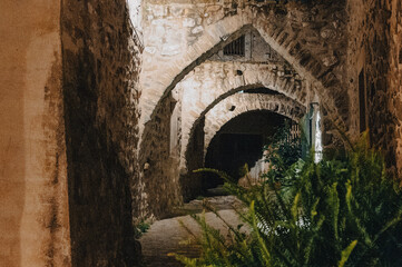 Fototapeta na wymiar ancient roman aqueduct