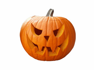 Halloween pumpkin isolated on white background.