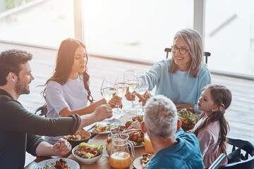 Happy multi-generation family toasting and smiling while having