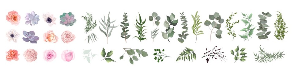 Vector set of flowers and herbs. Pink roses, various plants, leaves, grass. Collection of greenery, eucalyptus.