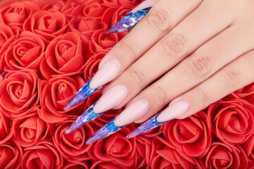 Hand with long artificial blue french manicured nails and red roses flowers
