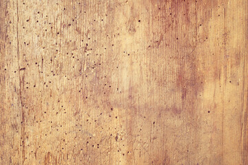 Light wood board texture. old wood background