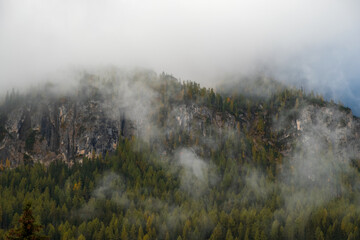 Typical hilly mountain landscape in the Dolomites with beautiful autumn colors on a foggy morning near the town of Cortina d’Ampezzo