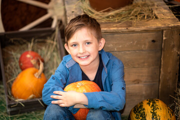 Fototapeta premium smiling boy sitting and holding pumpkins at the farm surrounded by many pumpkins in autumn