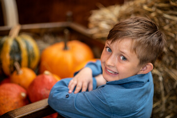 Fototapeta na wymiar smiling boy sitting and holding pumpkins at the farm surrounded by many pumpkins in autumn