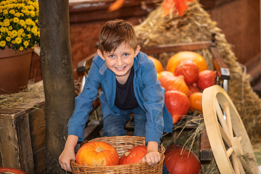 smiling boy sitting and  holding  pumpkins at the farm surrounded by many pumpkins in autumn
