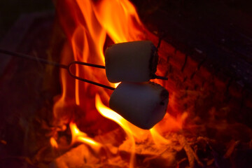 Roasting Marshmallows