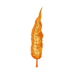 autumn leaf icon