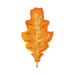 autumn leaf color orange