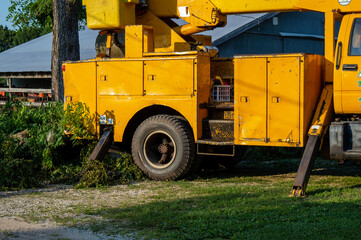 Utility truck at the scene of a tree felling