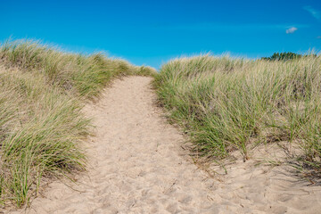 A sand dune and the sky  beyond. Focus near the top of the dune.