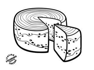 Pecorino pepato italian cheese.. Outline illustrationin doodle style.