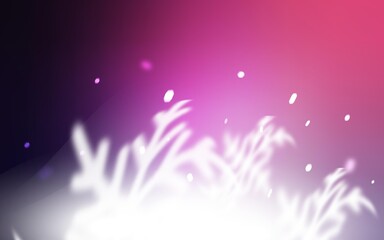 Fototapeta na wymiar Light Purple vector cover with beautiful snowflakes.