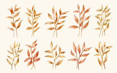 Hand painted autumn leaf in watercolor illustration Collection