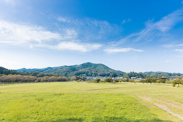巾着田から望む日和田山