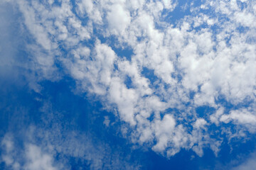 Clouds Against a Clear Blue Sky
