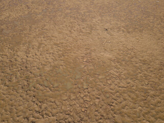 Light brown texture mud