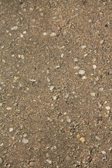 rough organic texture of natural brick
