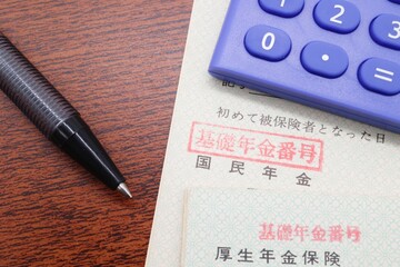 日本の年金に関するコンセプト　公的年金制度