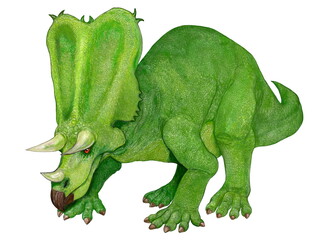 恐竜　角竜科目　ケラトプス類。カスモサウルス　白亜紀後期の北米大陸に生息していた角竜。学名は「穴の開いたトカゲ」を意味するが、ほとんどの角竜は頭部が成長し重量が増加するため、成長するにつれ、その頭部の重量を軽量化の必要が生じたのだと推定されている。これは成体から老体に変化するにつれ、顕在化する物であったのかもしれない。角竜としては中型種である。イラストは想像図になつかしいディフォルメを施している。