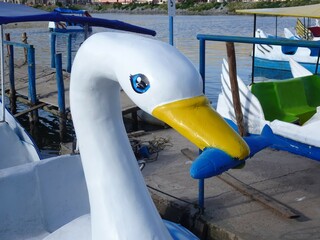 [Peru] Swan boat floating on Lake Titicaca (Puno)
