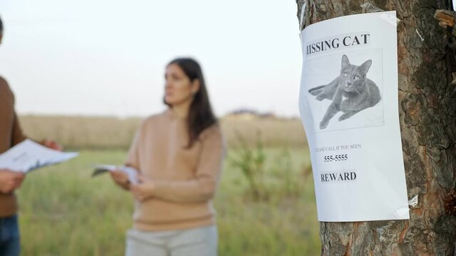 Young woman gives flyer to passerby person standing in autumn park focus on missing cat poster with photo hanging on tree close view