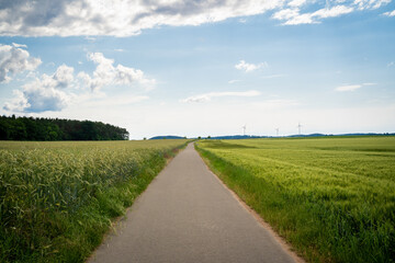 Asphalt footpath between grain fields in summer with nice blue sky 
