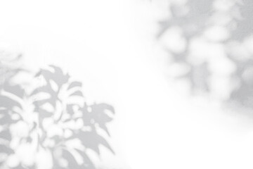 Leaf shadow and light on wall blur background. Nature tropical leaves tree branch shadow overlay effect foliage mockup