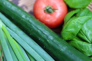 家庭菜園の夏野菜の収穫　トマト、きゅうり、長ネギ、バジル