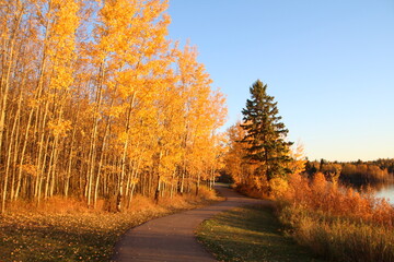 October Glow, Elk Island National Park, Alberta