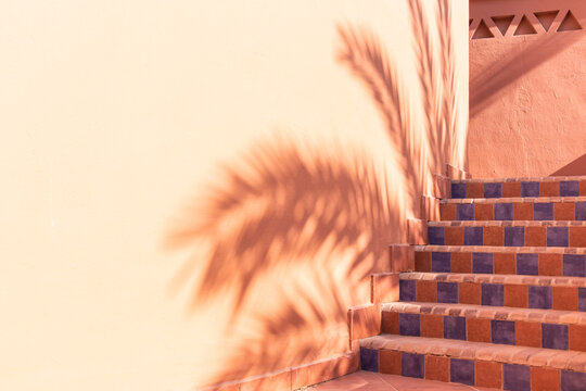 Shadows from the branches of palm trees on an terracotta wall and a staircase with steps lined with ceramic tiles
