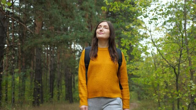 Positive young woman wearing stylish orange sweater walks along rural road through green forest with old pines at weekend on autumn day