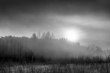 Spooky sunrise in Lithuania. Fog over the meadow, fresh snow on the terrain, dark forest and contrasts in nature. Selective focus on the details, blurred background.