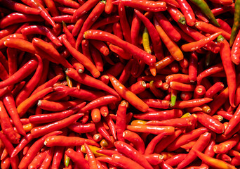 Closeup of a fresh red hot chili texture background the Ingredients are used for spicy Thai food....
