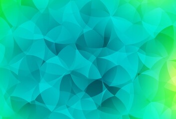Light Green vector texture with abstract forms.