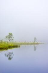 Lake at a bog with water reflections and morning fog