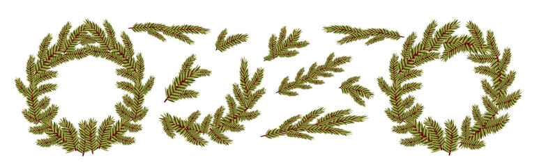 set of vector elements of fir branches and wreaths  isolated on white background.  Christmas tree, pine, winter. Template for placing Christmas toys