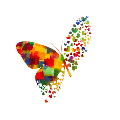 Butterfly multicolored abstract. Vector illustration