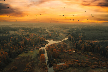 Majestic sunset over river from above - obrazy, fototapety, plakaty