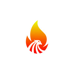 eagle falcon hawk with fire flame logo design vector template